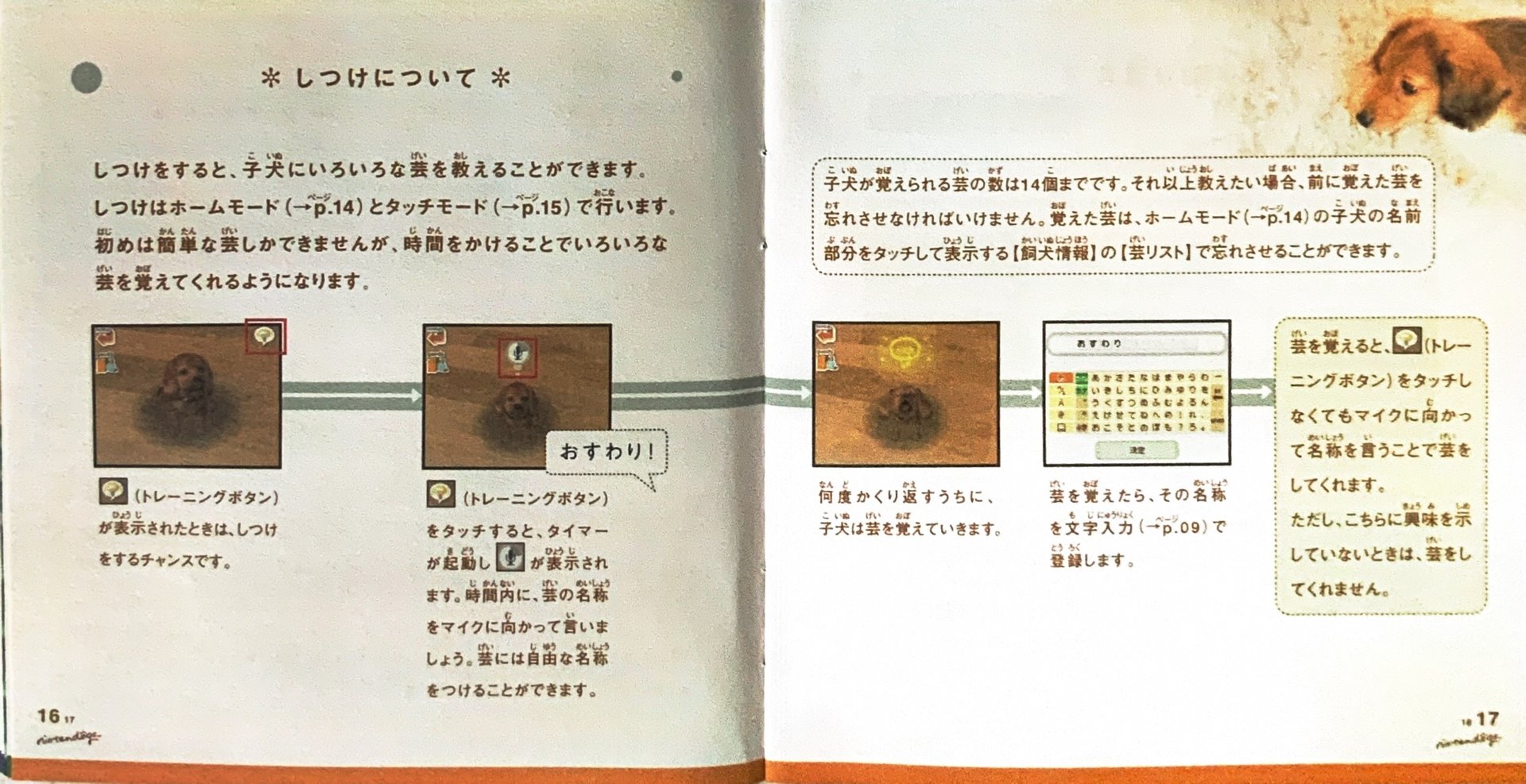 page_17_18