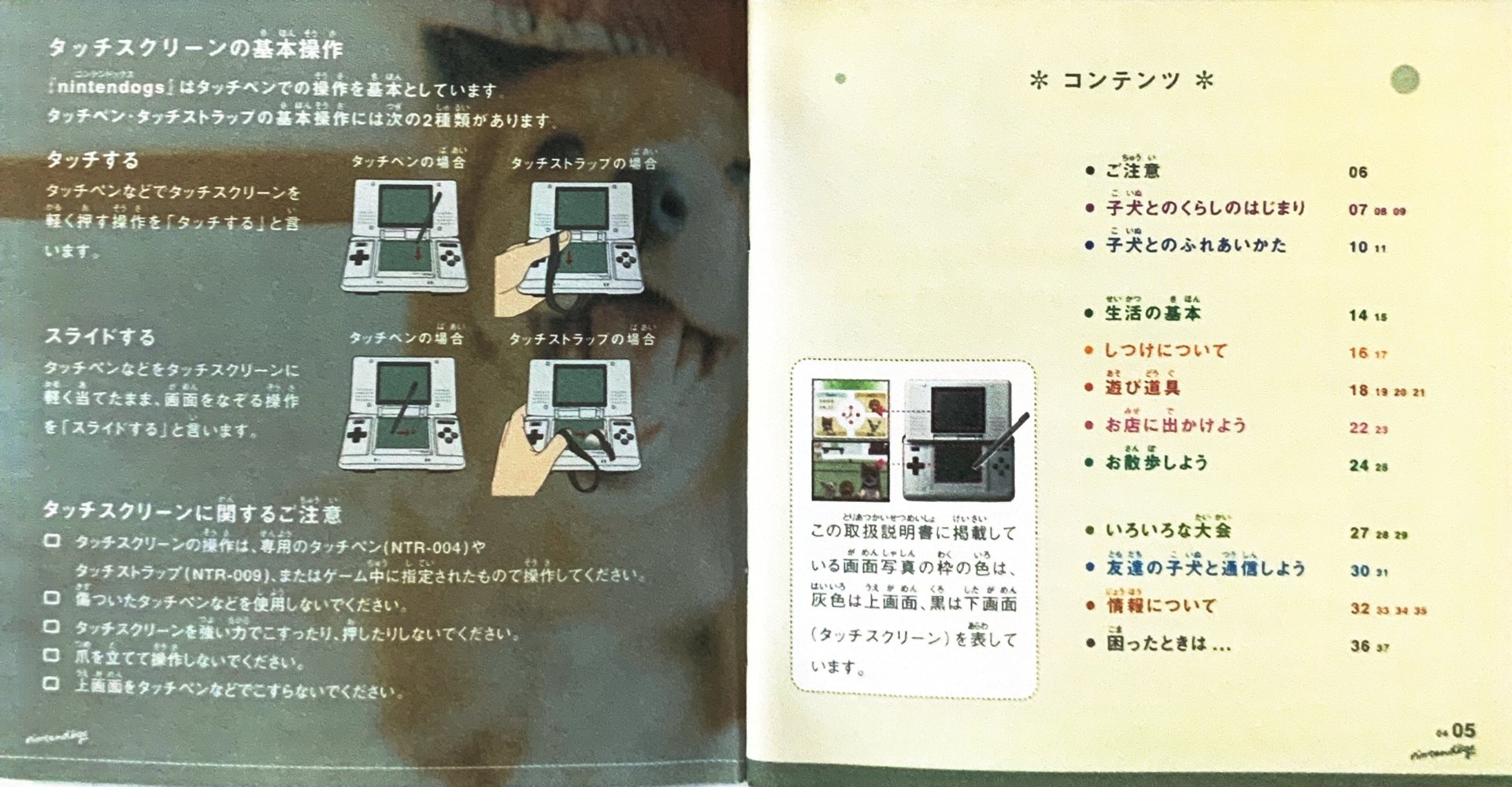 page_5_6